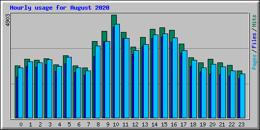 Hourly usage for August 2020