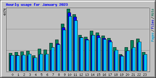 Hourly usage for January 2023