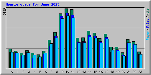 Hourly usage for June 2023