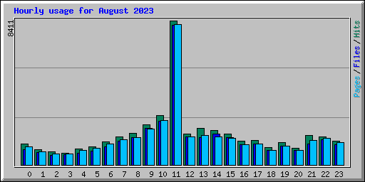 Hourly usage for August 2023