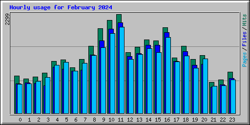 Hourly usage for February 2024