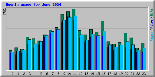 Hourly usage for June 2024