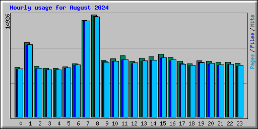 Hourly usage for August 2024