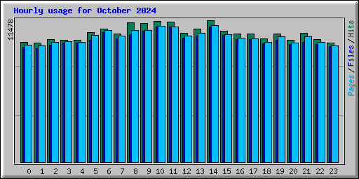 Hourly usage for October 2024