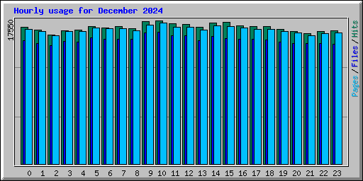 Hourly usage for December 2024