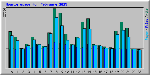 Hourly usage for February 2025