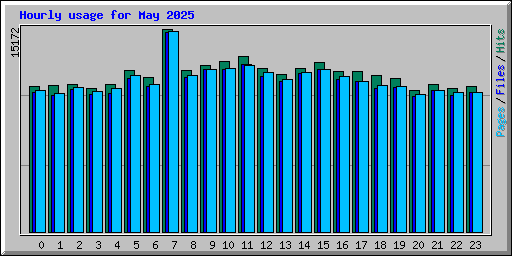 Hourly usage for May 2025