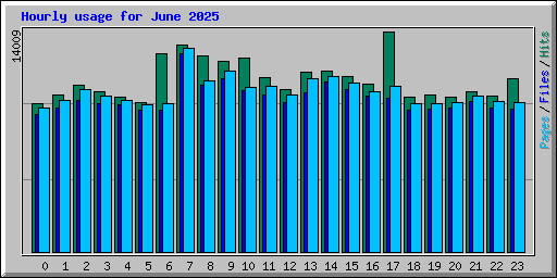 Hourly usage for June 2025